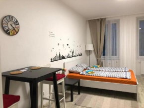 Apartments near the center with privat parking